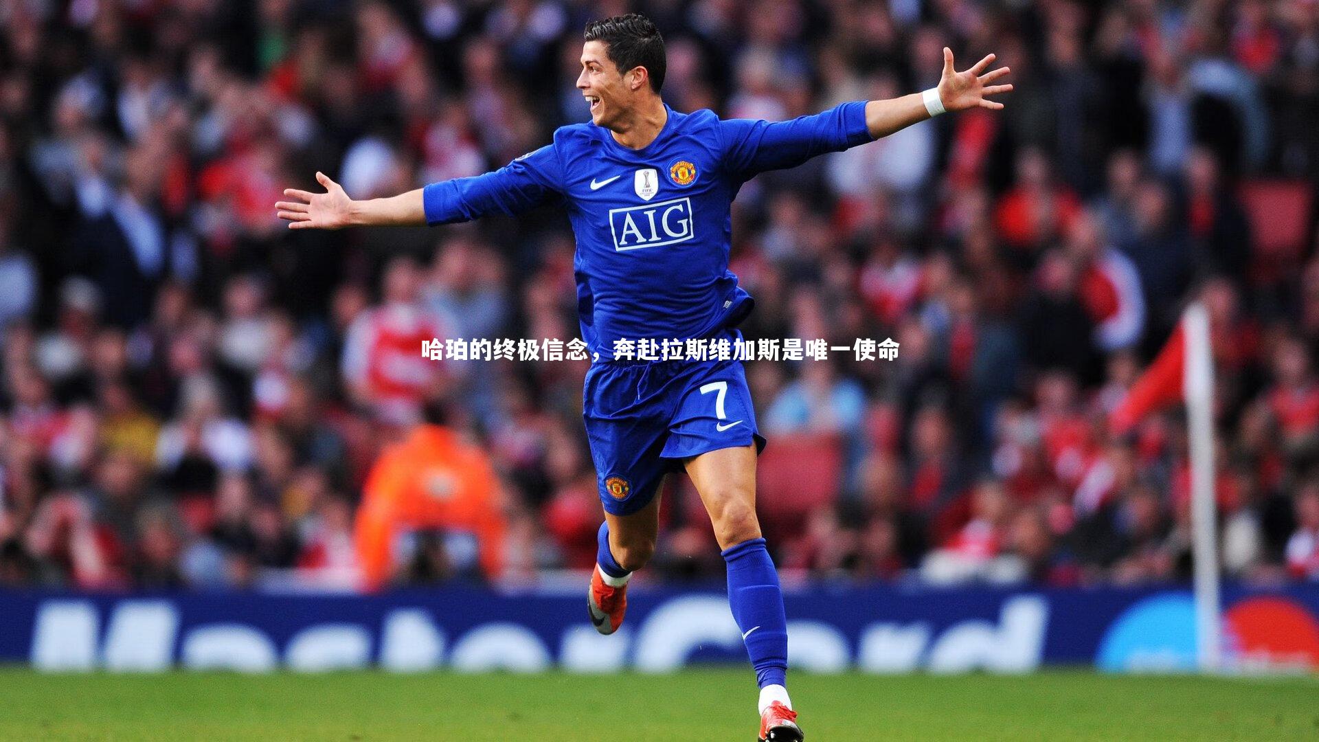 九游体育登录入口_哈珀的终极信念，奔赴拉斯维加斯是唯一使命