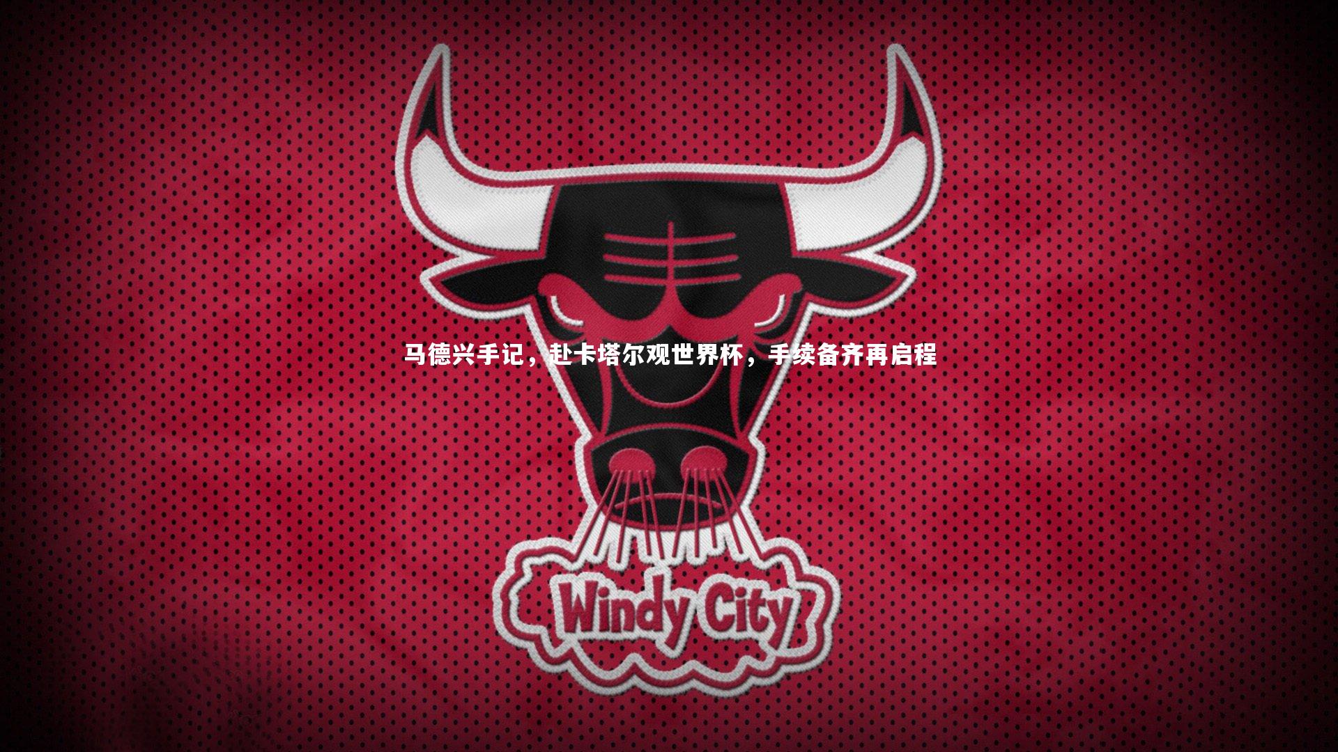 马德兴手记，赴卡塔尔观世界杯，手续备齐再启程