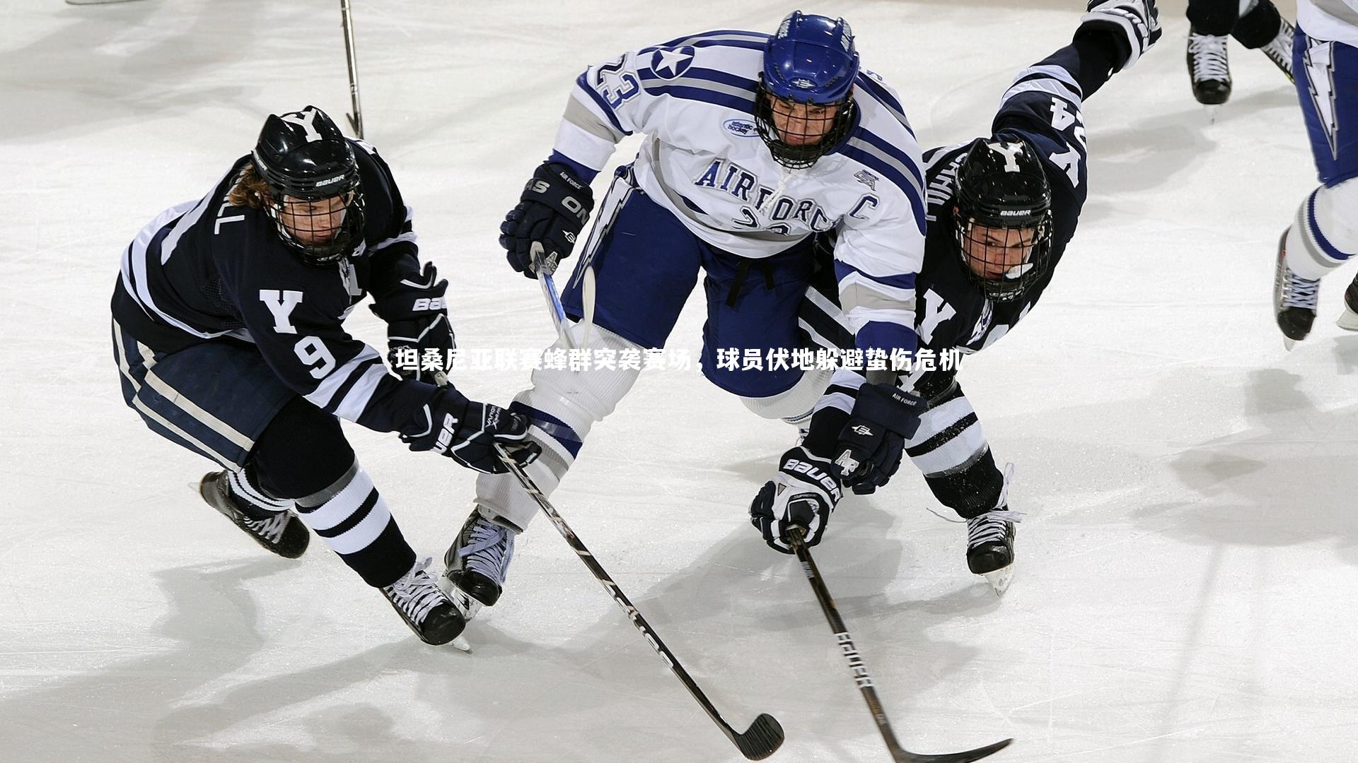 坦桑尼亚联赛蜂群突袭赛场，球员伏地躲避蛰伤危机